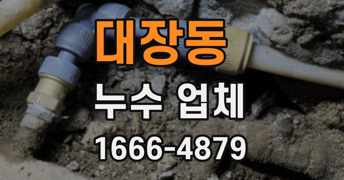 대장동 누수 업체