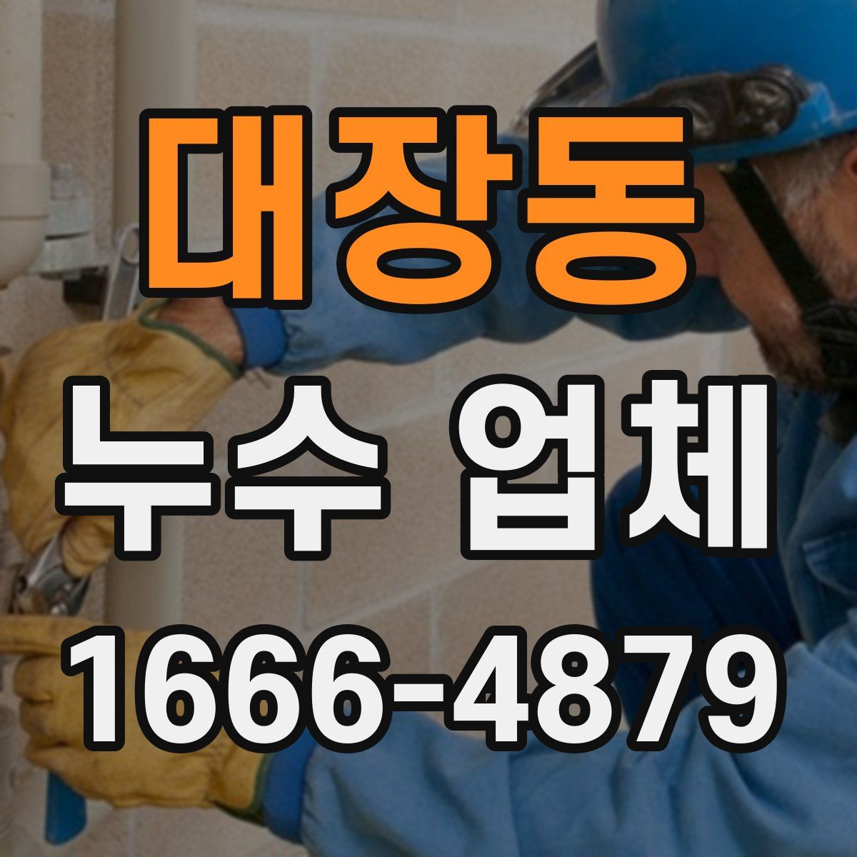 대장동 누수 업체