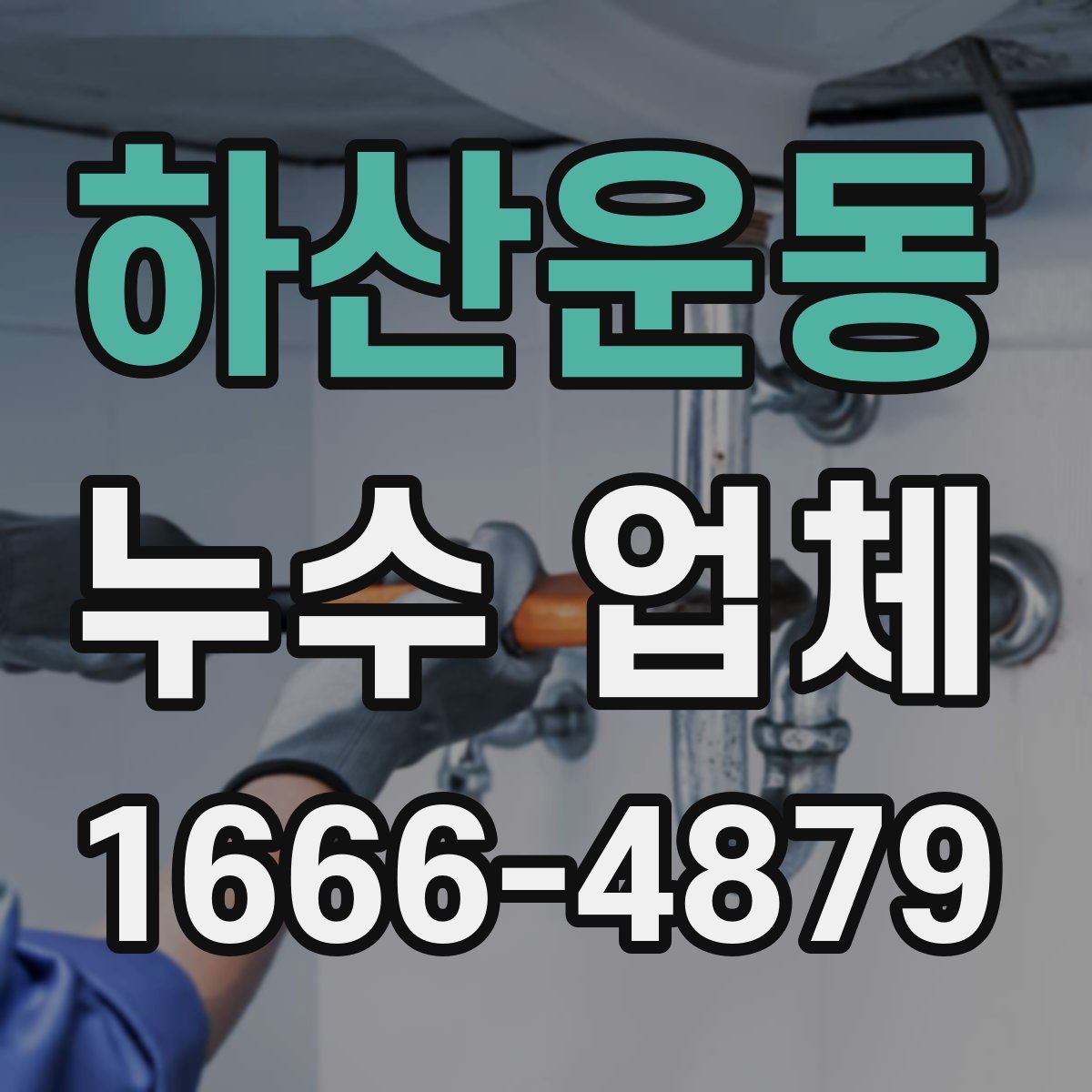 하산운동 누수 업체