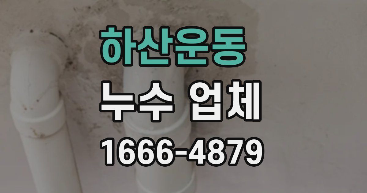 하산운동 누수 업체
