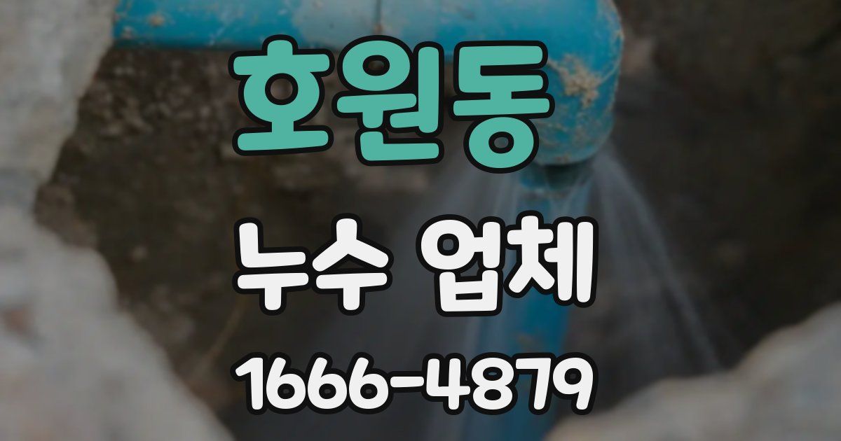 호원동 누수 업체