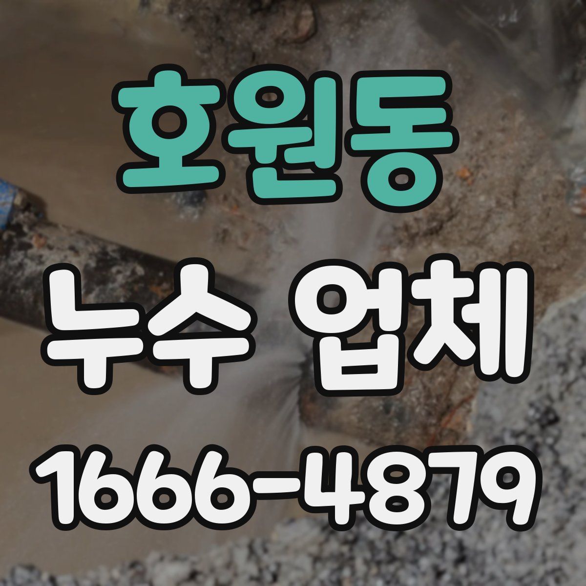 호원동 누수 업체