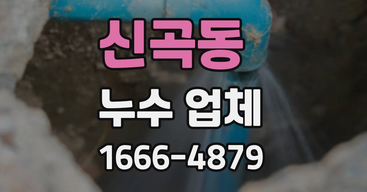 신곡동 누수 업체