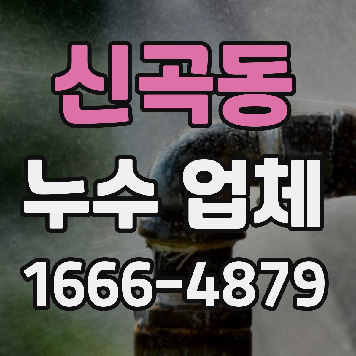 신곡동 누수 업체