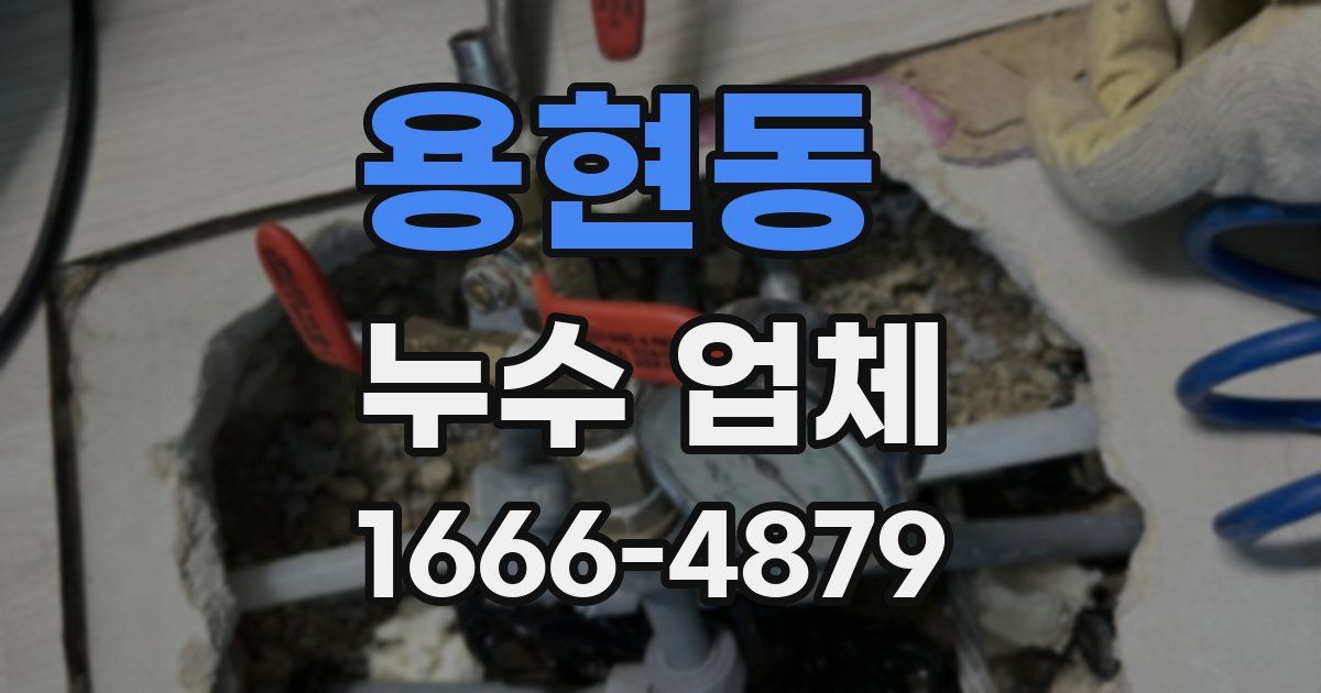 용현동 누수 업체
