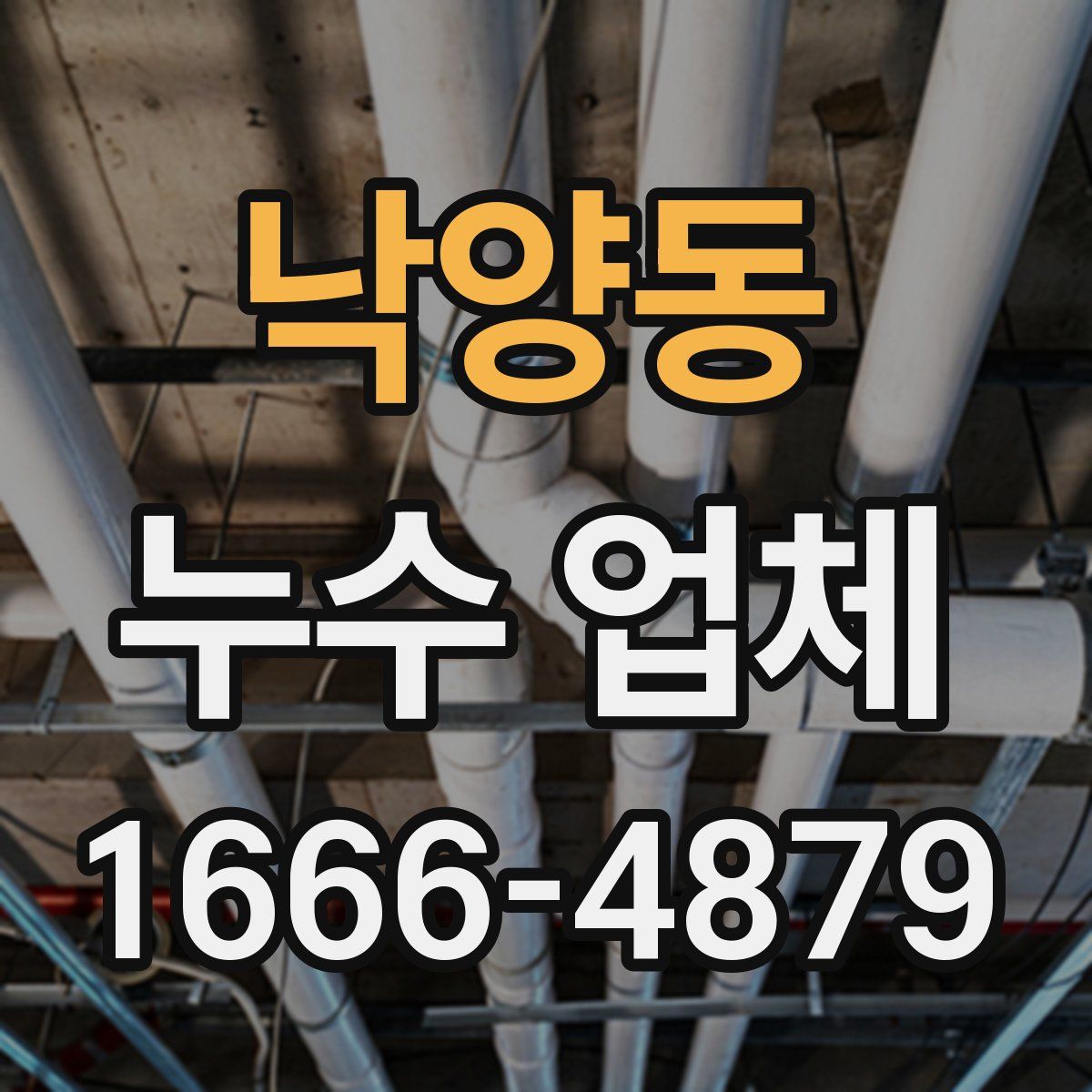 낙양동 누수 업체