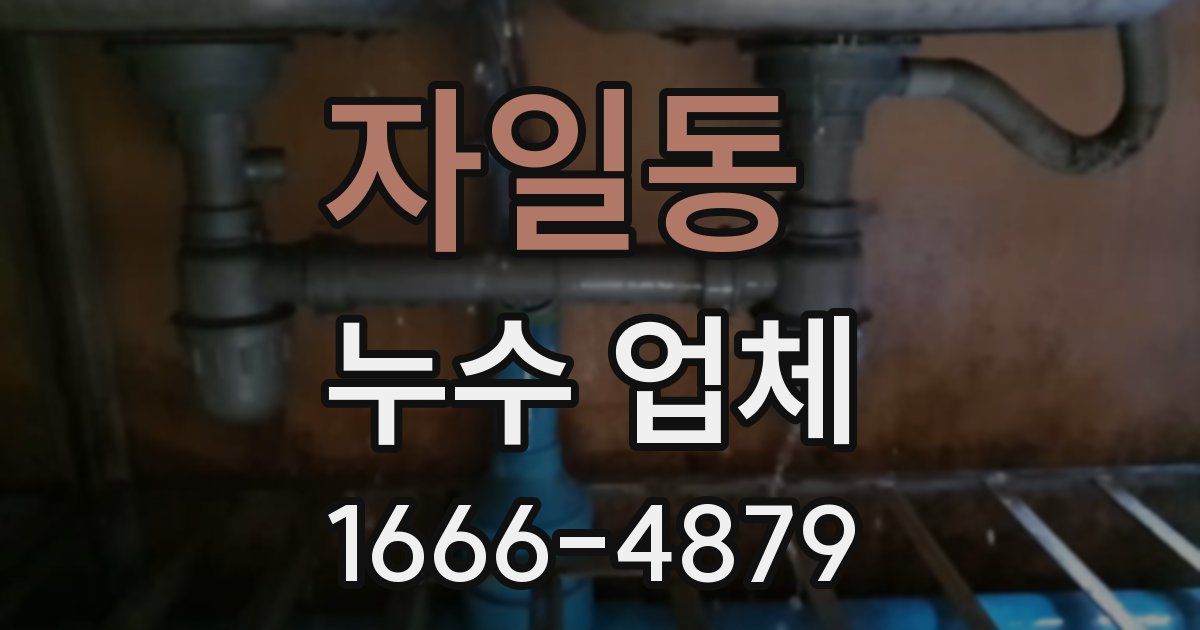 자일동 누수 업체