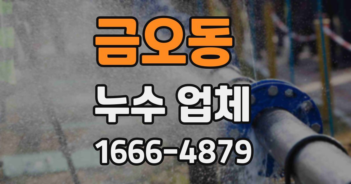 금오동 누수 업체