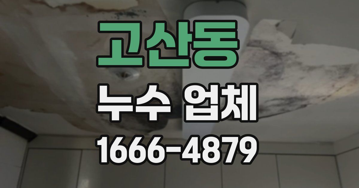 고산동 누수 업체