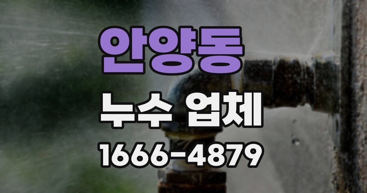 안양동 누수 업체