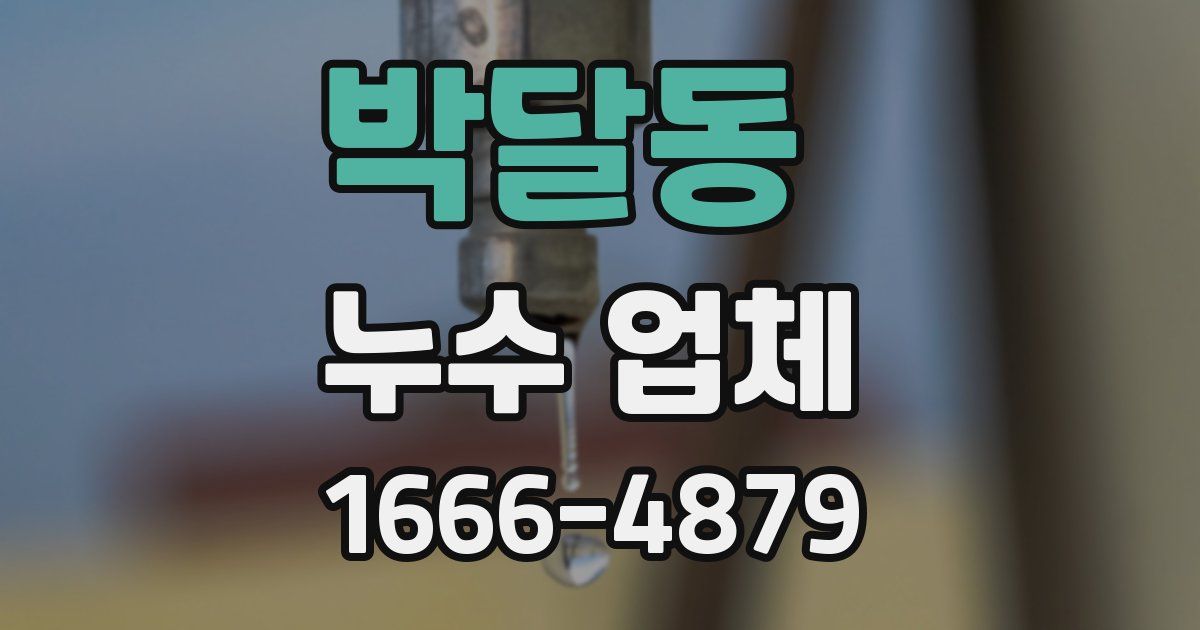 박달동 누수 업체