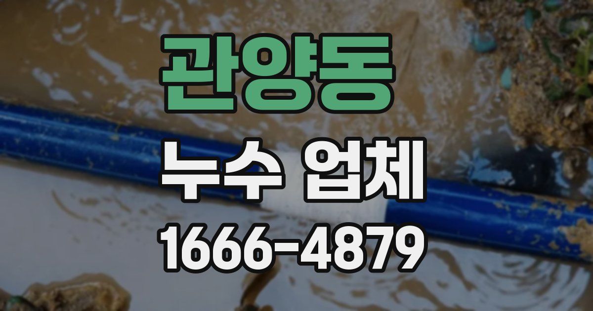 관양동 누수 업체