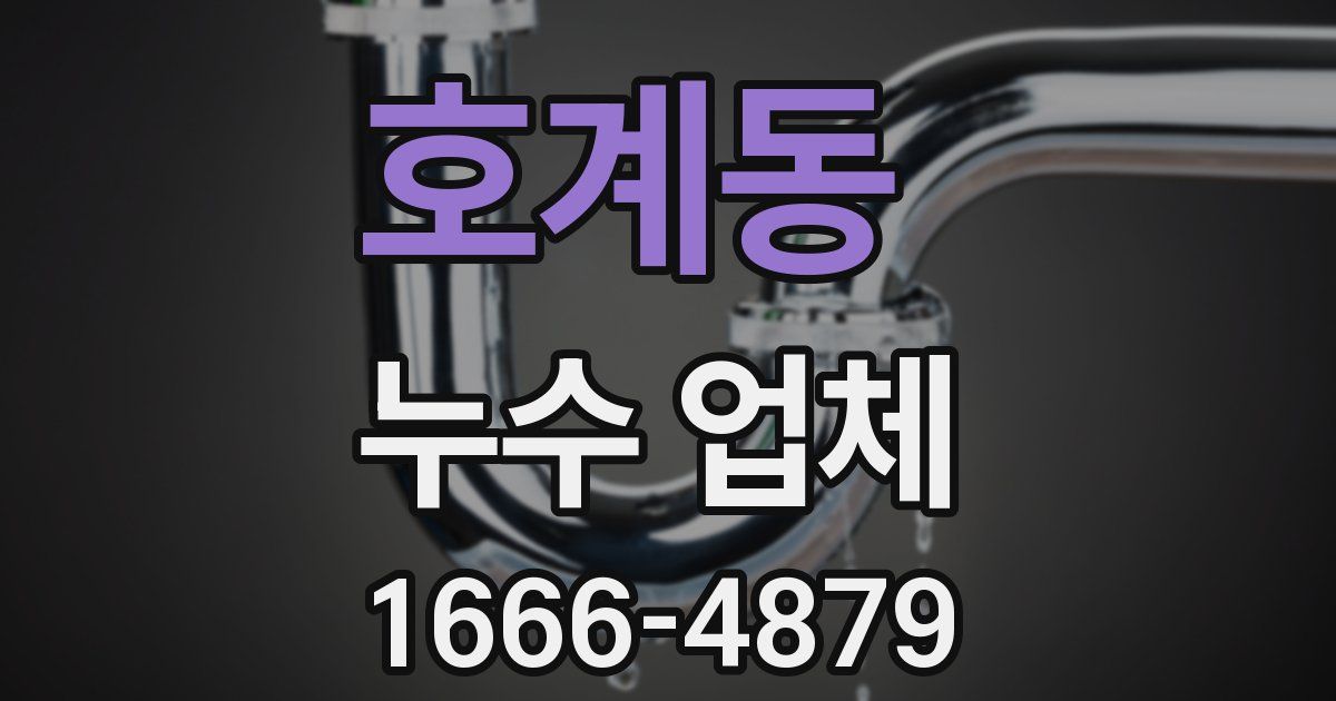 호계동 누수 업체