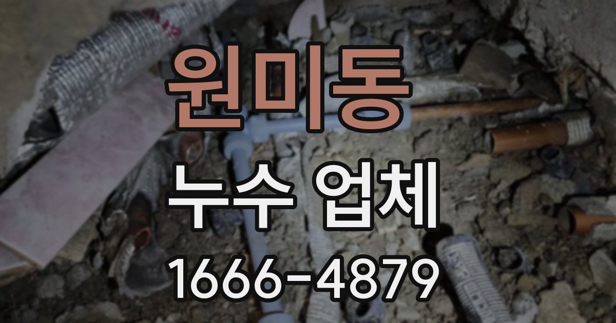 원미동 누수 업체