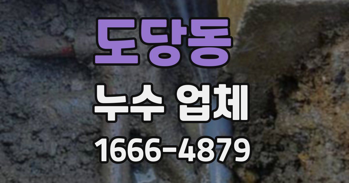 도당동 누수 업체