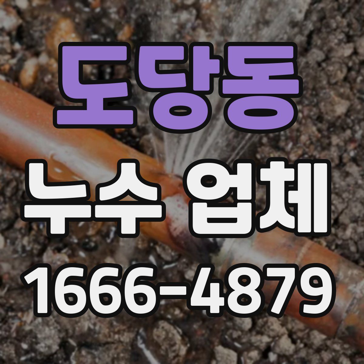 도당동 누수 업체