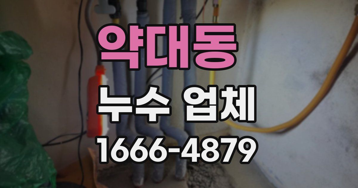 약대동 누수 업체