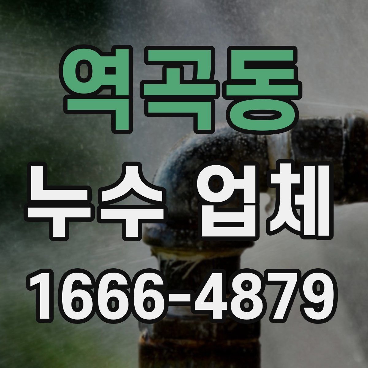 역곡동 누수 업체