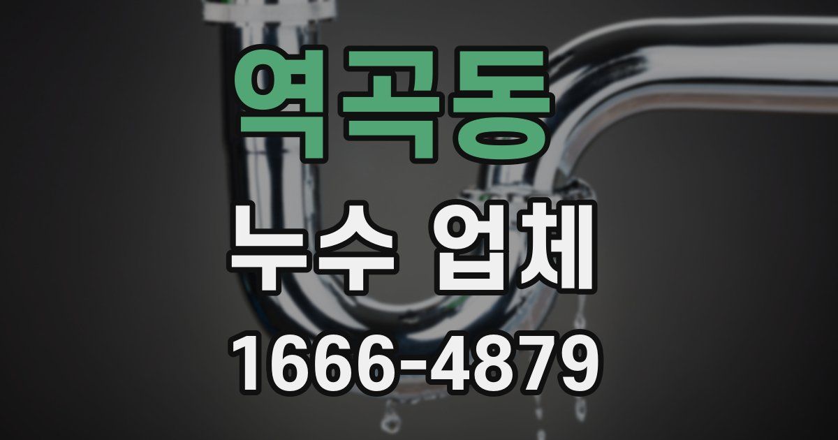 역곡동 누수 업체