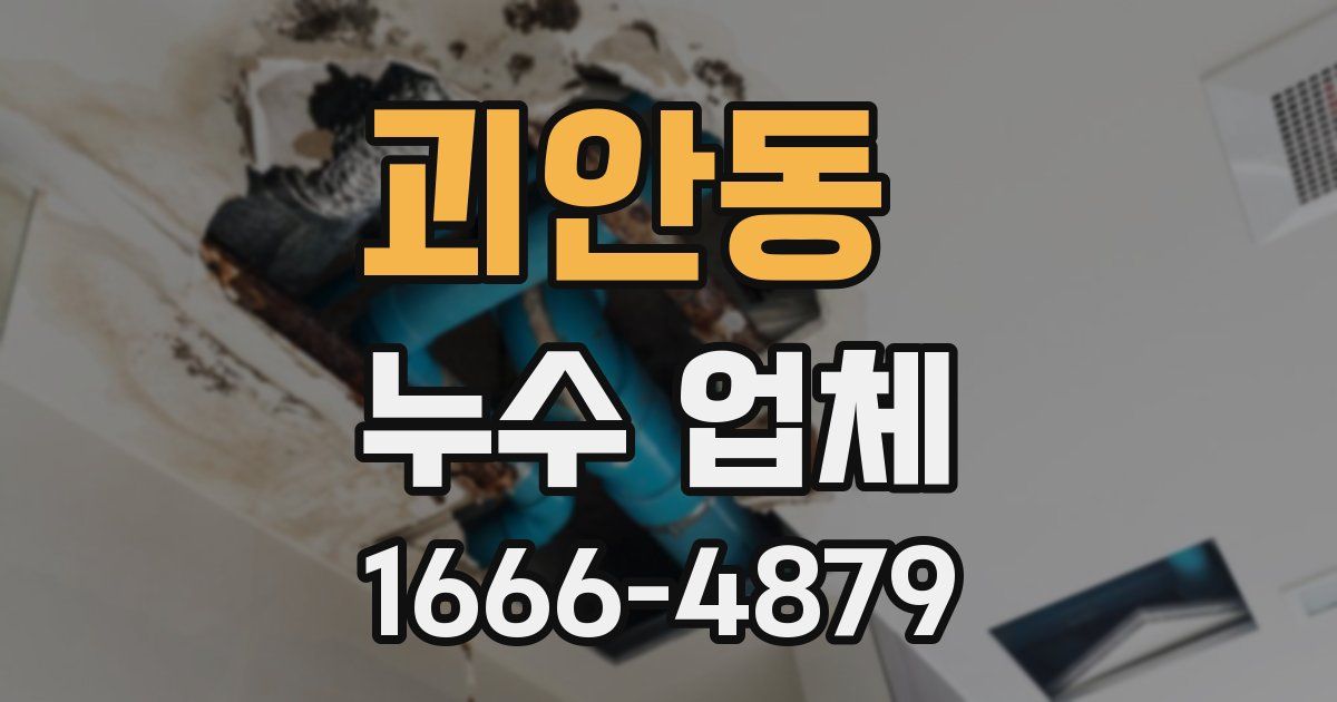 괴안동 누수 업체