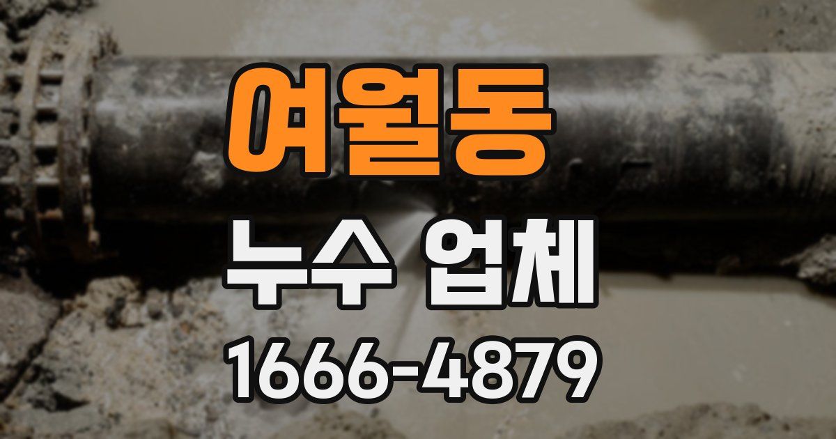 여월동 누수 업체
