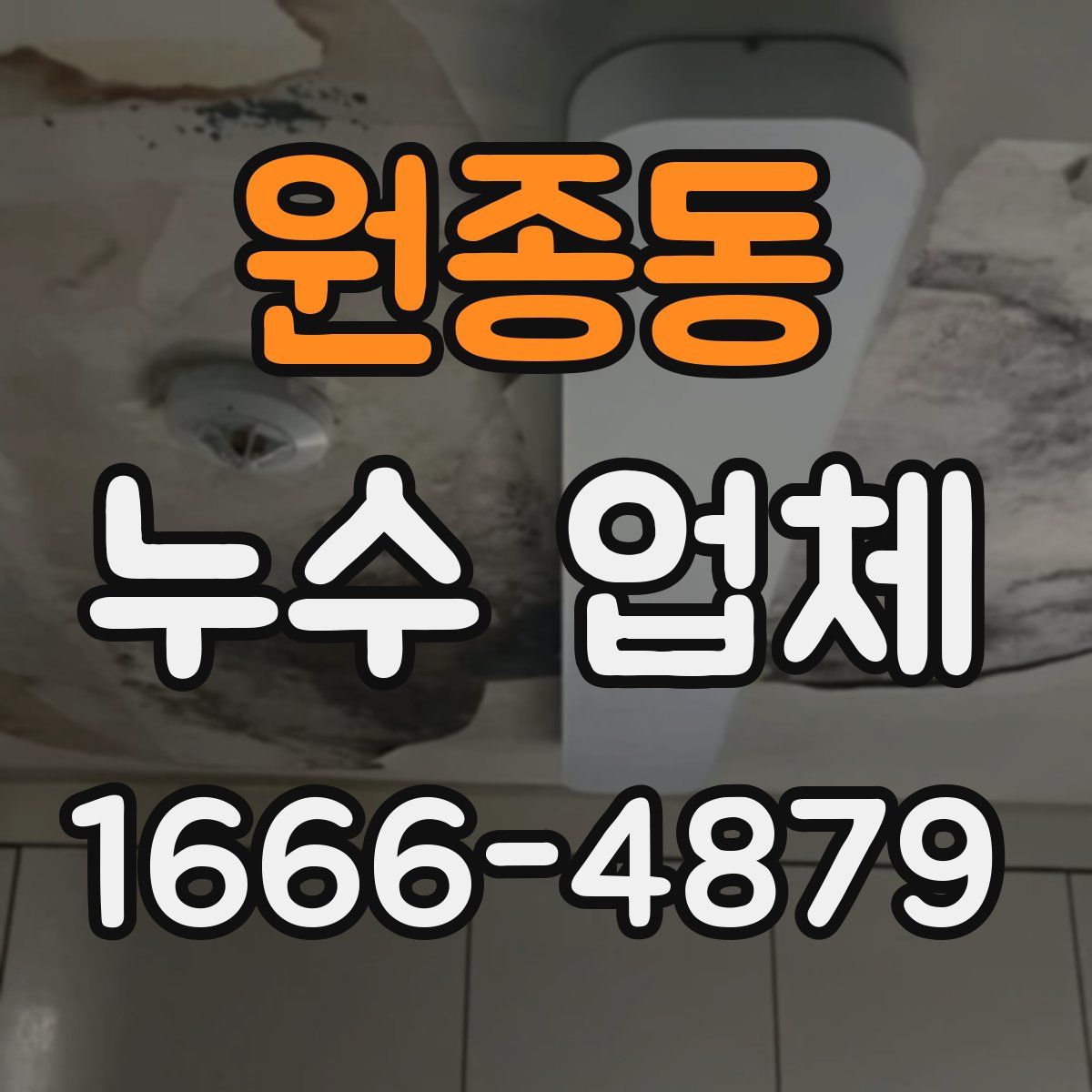 원종동 누수 업체