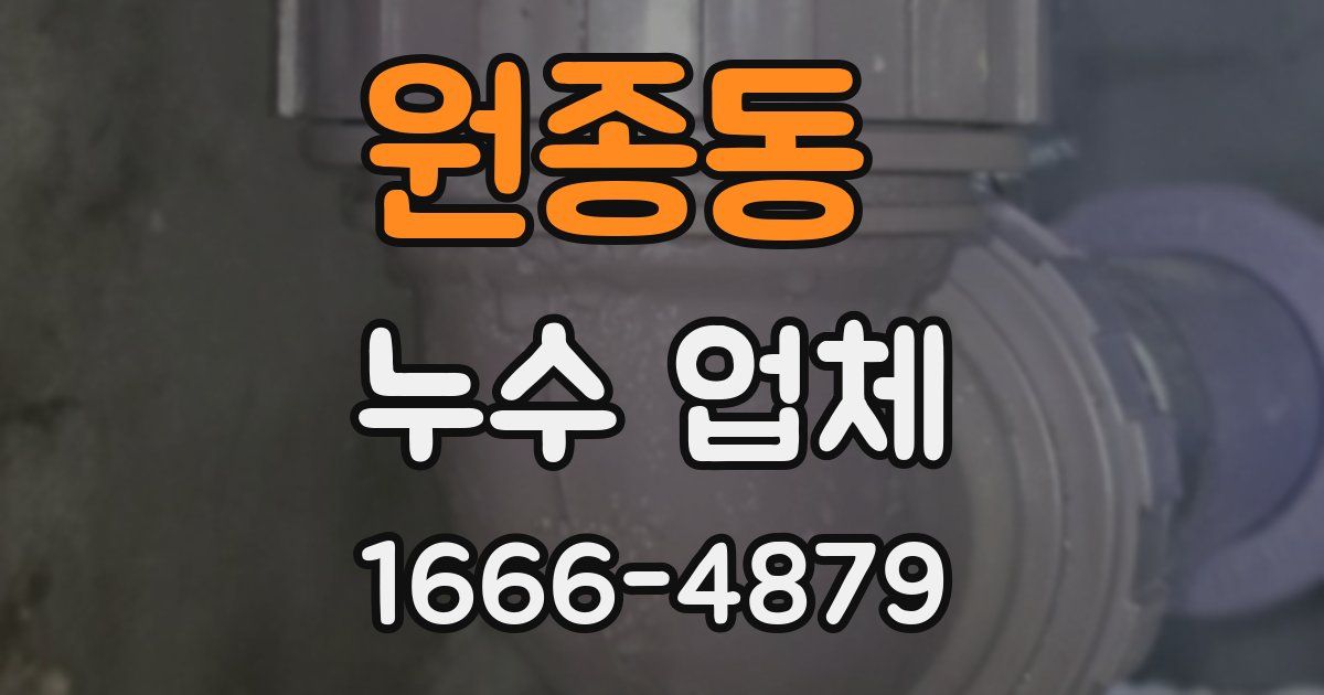 원종동 누수 업체