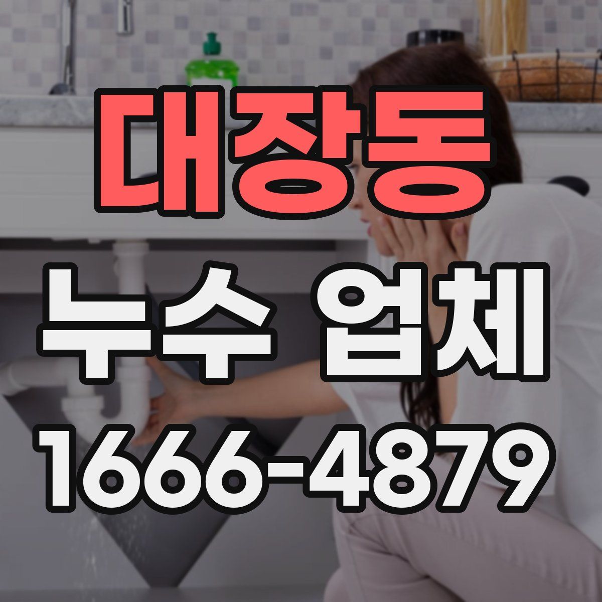대장동 누수 업체