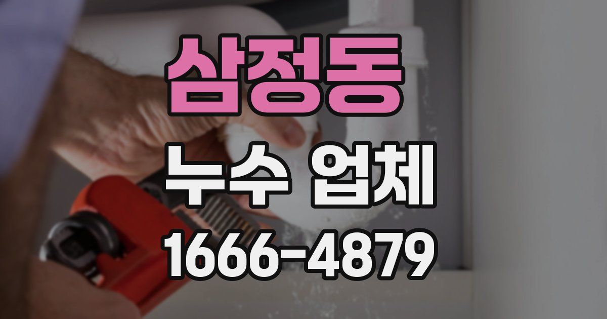 삼정동 누수 업체