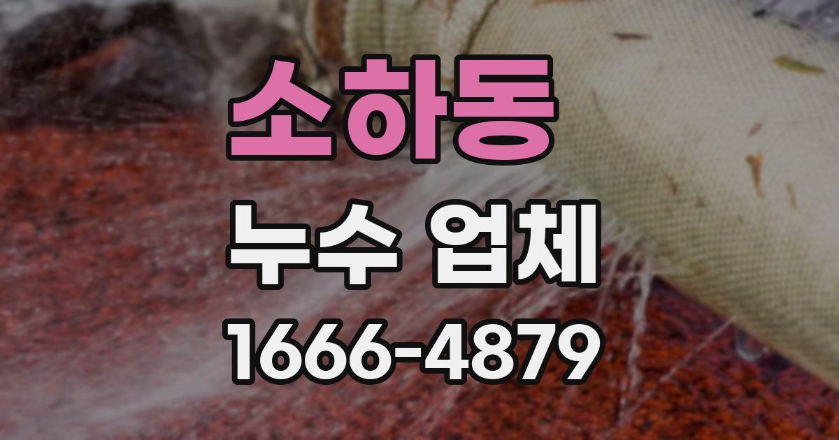 소하동 누수 업체