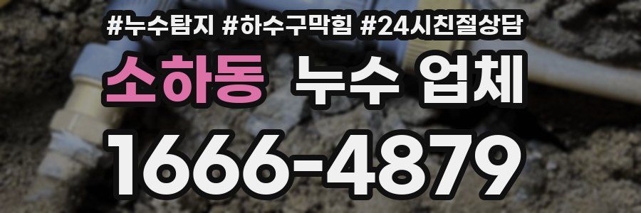 소하동 누수 업체