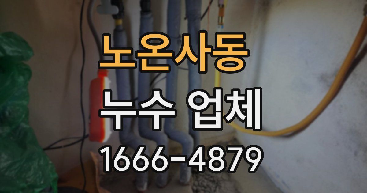 노온사동 누수 업체
