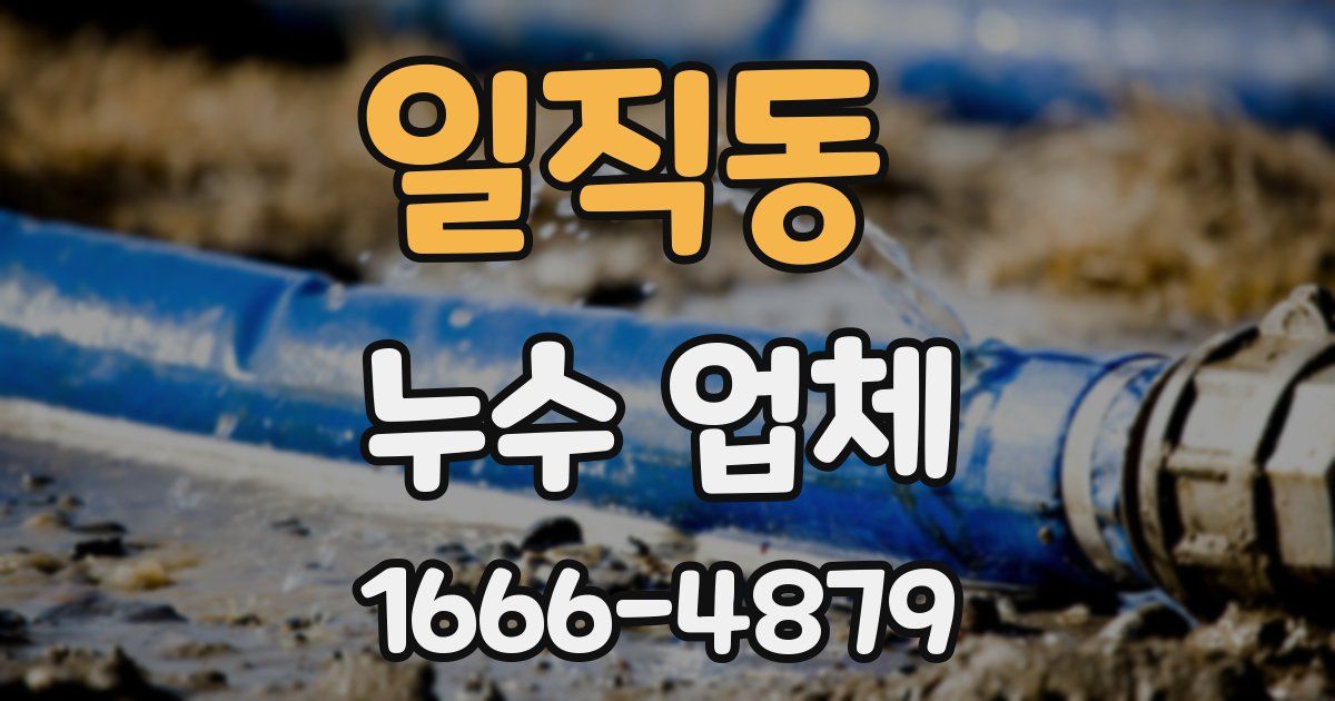 일직동 누수 업체