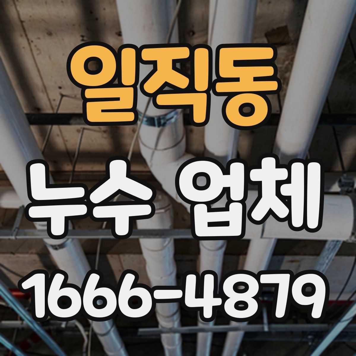 일직동 누수 업체