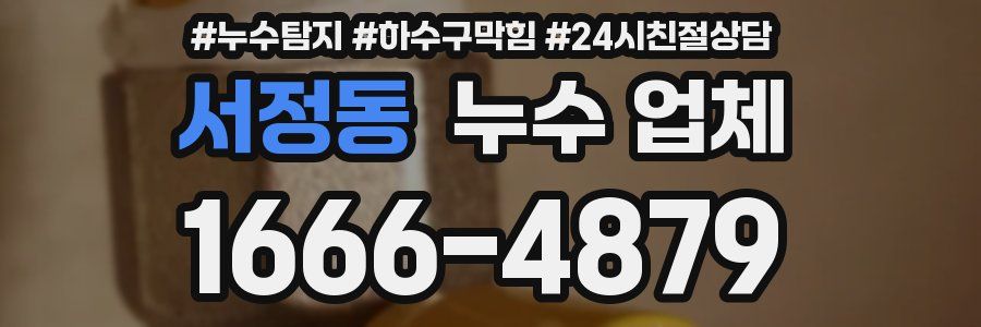 서정동 누수 업체