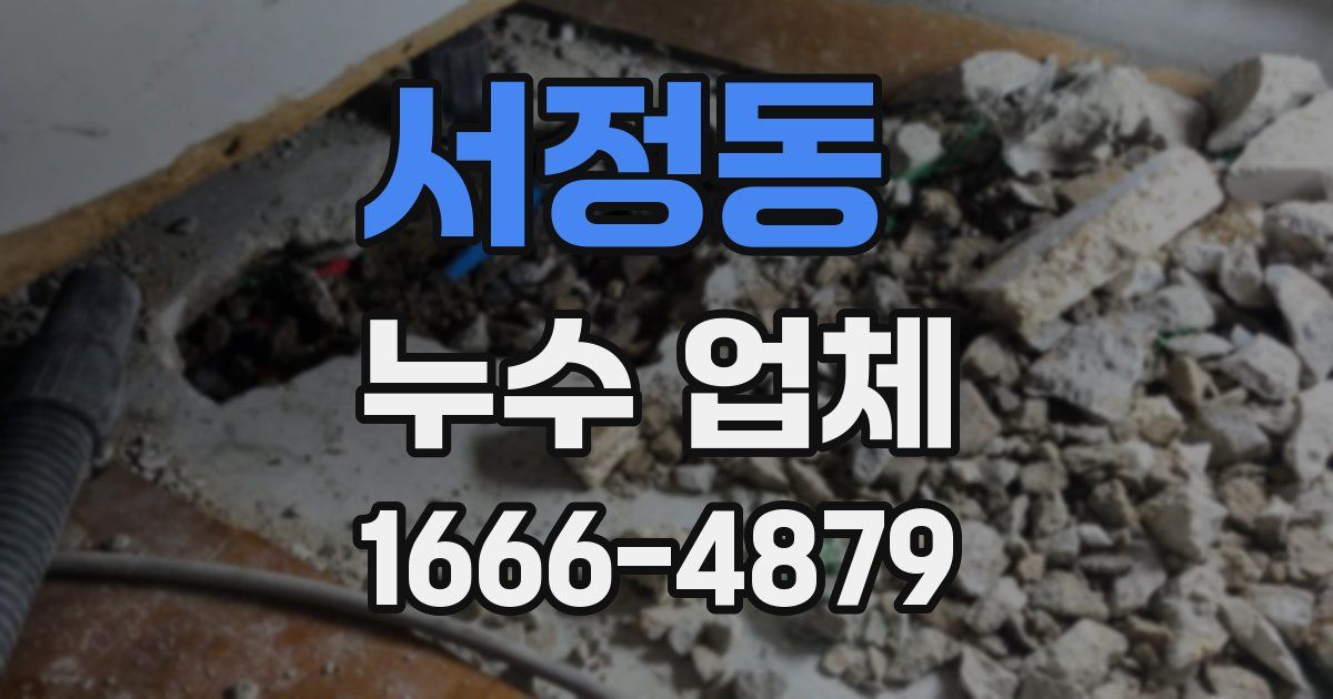 서정동 누수 업체
