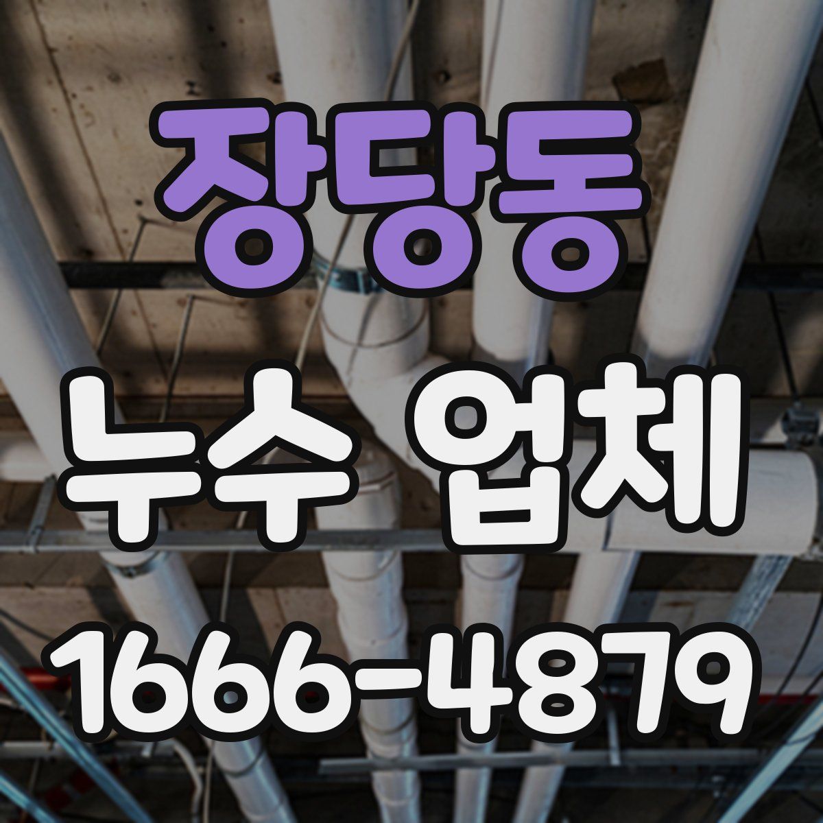 장당동 누수 업체