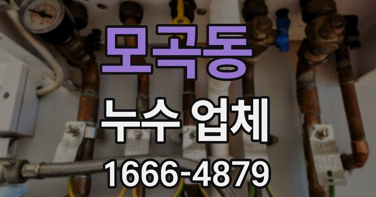 모곡동 누수 업체