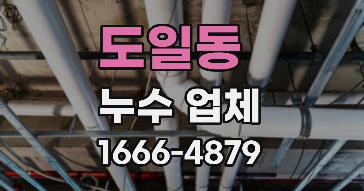 도일동 누수 업체