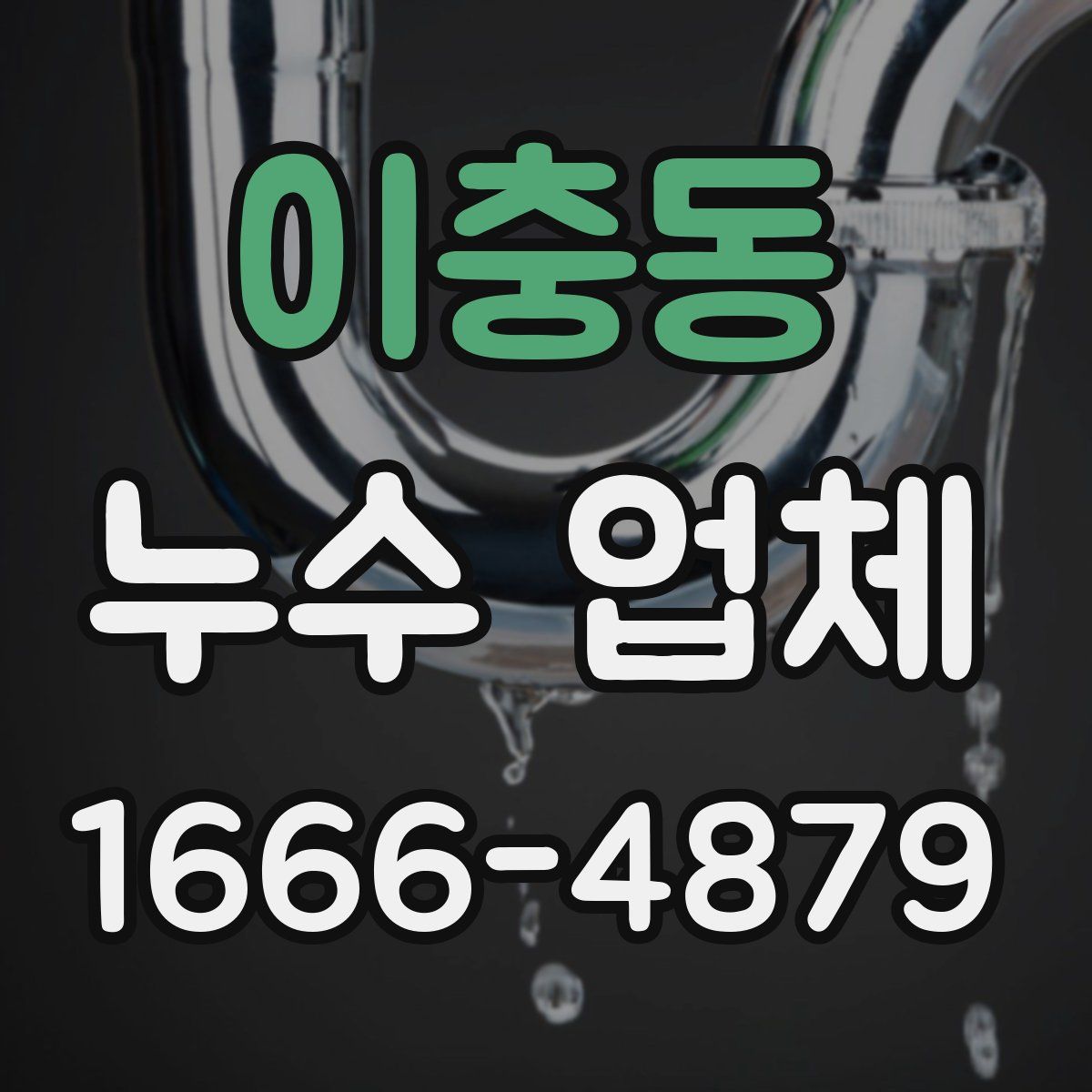 이충동 누수 업체