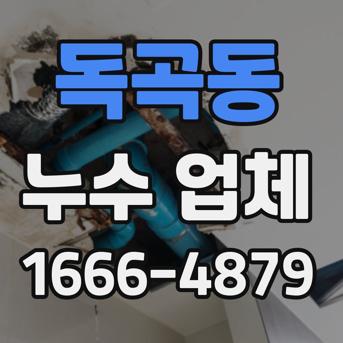 독곡동 누수 업체