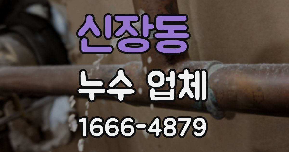 신장동 누수 업체