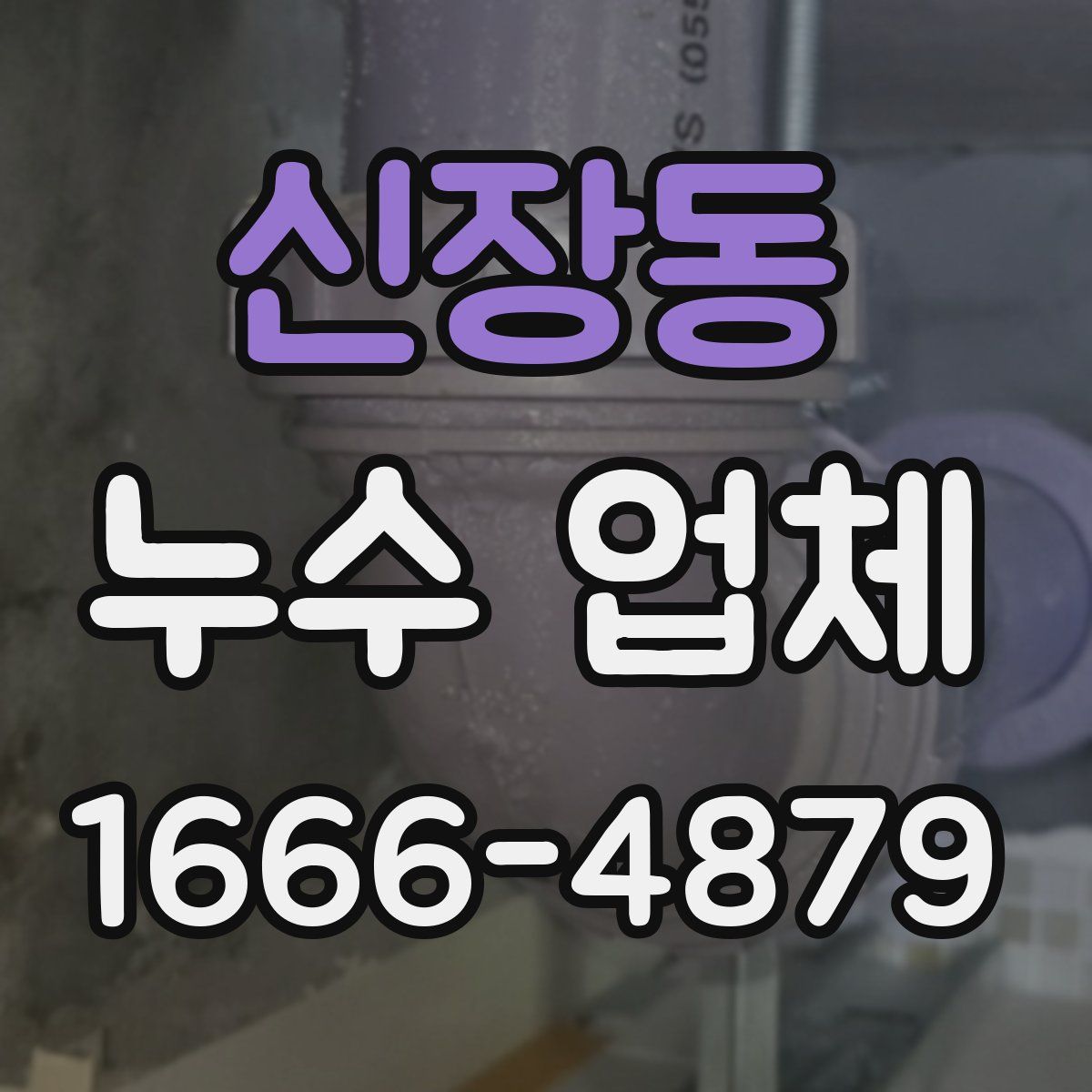 신장동 누수 업체