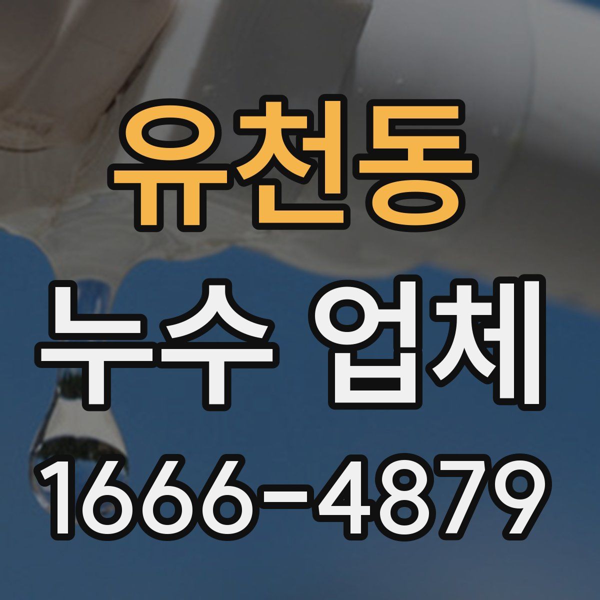 유천동 누수 업체
