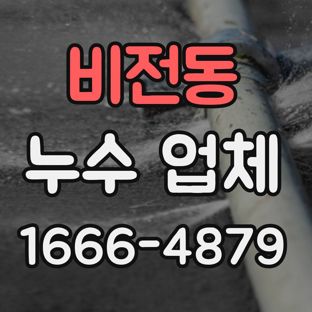 비전동 누수 업체