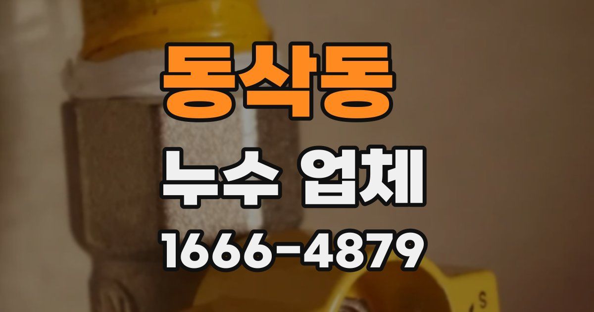 동삭동 누수 업체