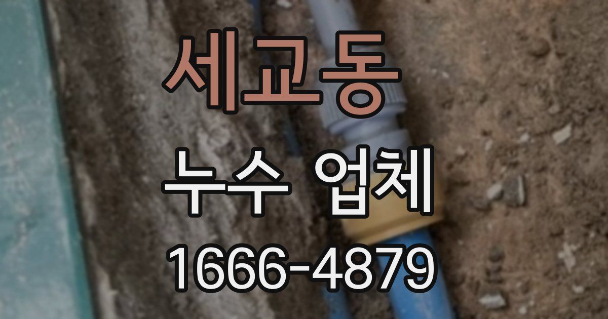세교동 누수 업체