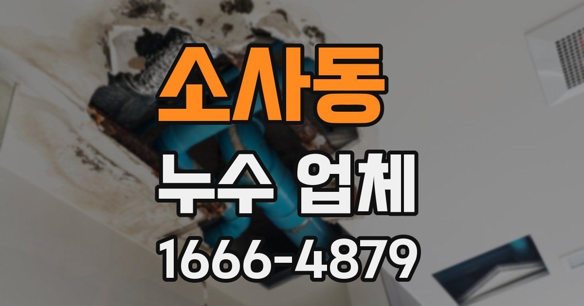 소사동 누수 업체