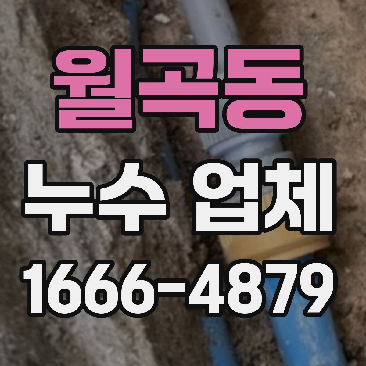 월곡동 누수 업체