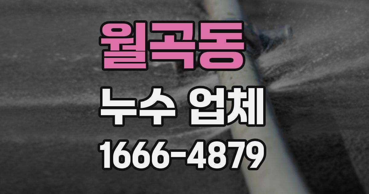 월곡동 누수 업체
